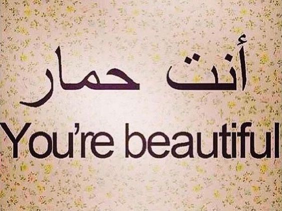 Translation
